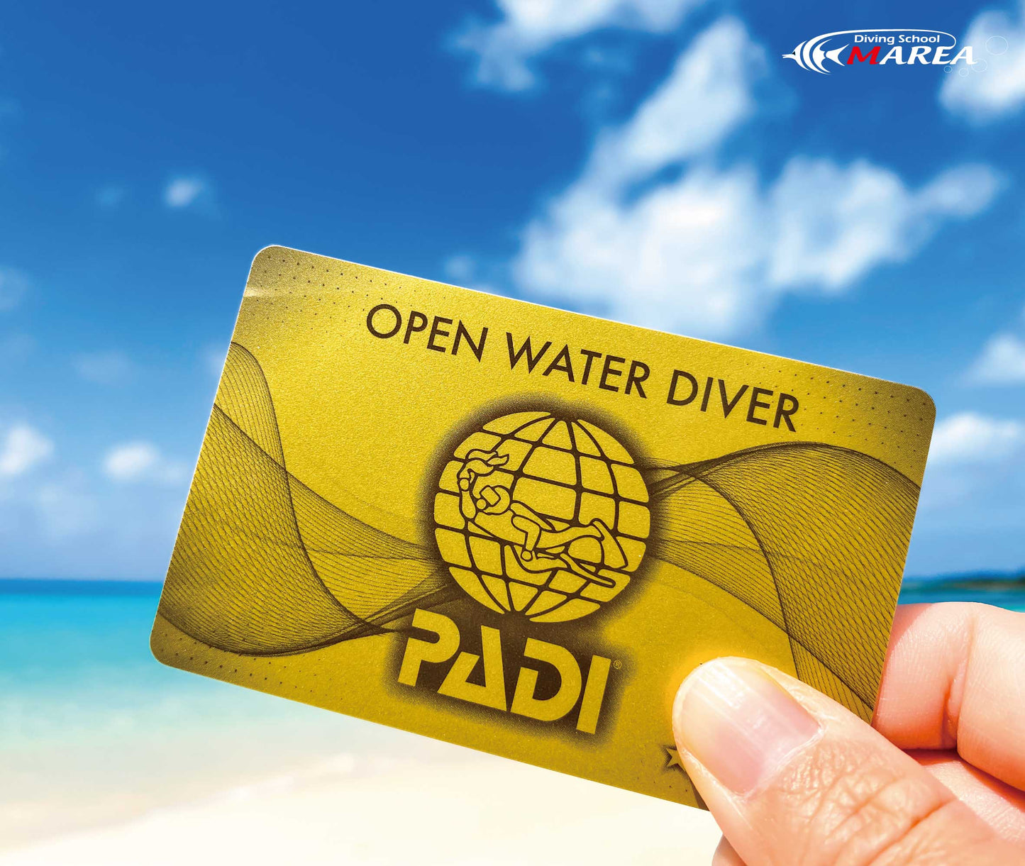 PADIオープン・ウォーター・ダイバー・コース沖縄(キャンペーン適用)